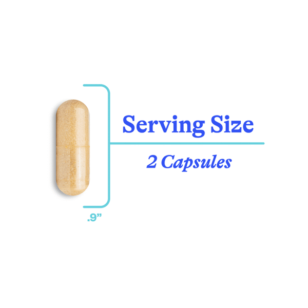 Seeking Health - Nutrientes para Histamina 60 Cápsulas