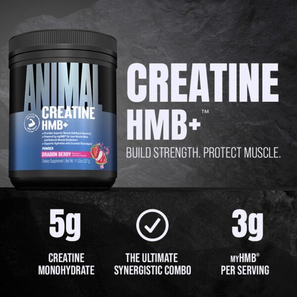 Animal - Creatina HMB+ em Pó Pitaia 327 g