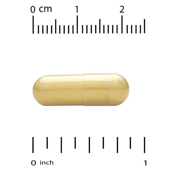 California Gold Nutrition - Complexo NMNH com CoQ10 PQQ e L-Ergotioneína 60 Cápsulas Vegetais