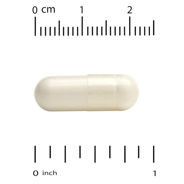California Gold Nutrition - NADH 20 mg 60 Cápsulas Vegetais