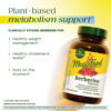 MegaFood - Berberine Phytosome 60 Cápsulas (550 mg por Cápsula)