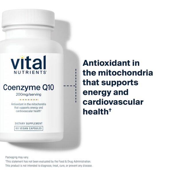 18-313.jpg Vital Nutrients - Coenzima Q10 200 mg 60 Cápsulas Veganas