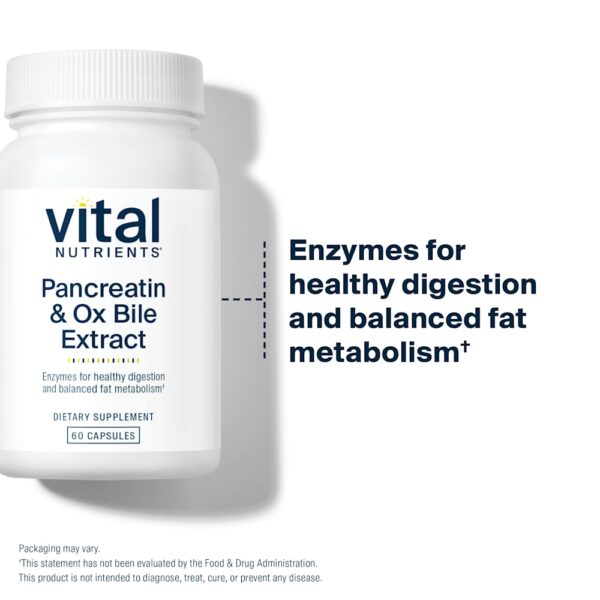 Vital Nutrients - Extrato de Bile de Pancreatina e Boi 60 Cápsulas