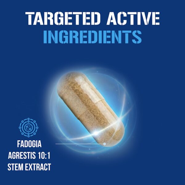 EVLution Nutrition - Fadogia Agrestis 600 mg 30 Cápsulas Vegetais