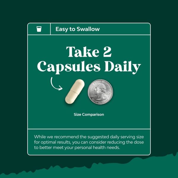 Nature's Craft - Enzimas Pancreáticas 120 Cápsulas (325 mg por Cápsula)