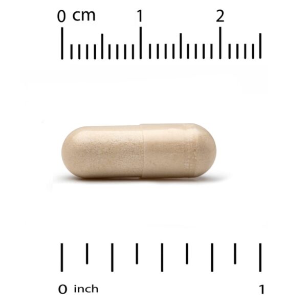 California Gold Nutrition - Pterostilbene 50 mg 30 Cápsulas Vegetais
