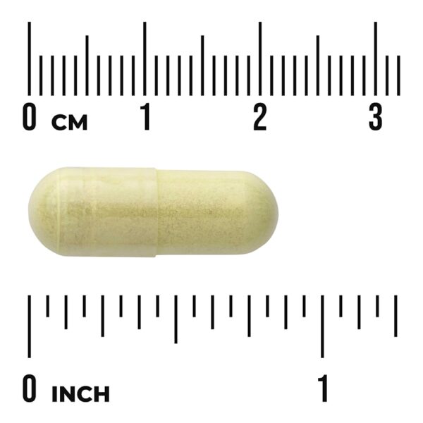 Swanson Vitamins - Quercetina e Bromelina Saúde Respiratória 250 Cápsulas