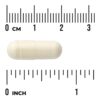 Swanson Vitamins - Apigenina 50 mg 90 Cápsulas Veganas