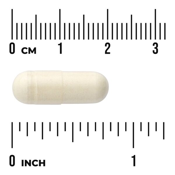 Swanson Vitamins - Apigenina 50 mg 90 Cápsulas Veganas