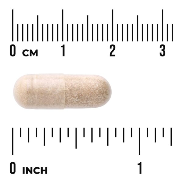 Swanson Vitamins - Próstata Glandular 150 mg 60 Cápsulas