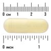 32-47.jpg Swanson Vitamins - Ácido Alfa-Lipoico 600 mg 60 Cápsulas