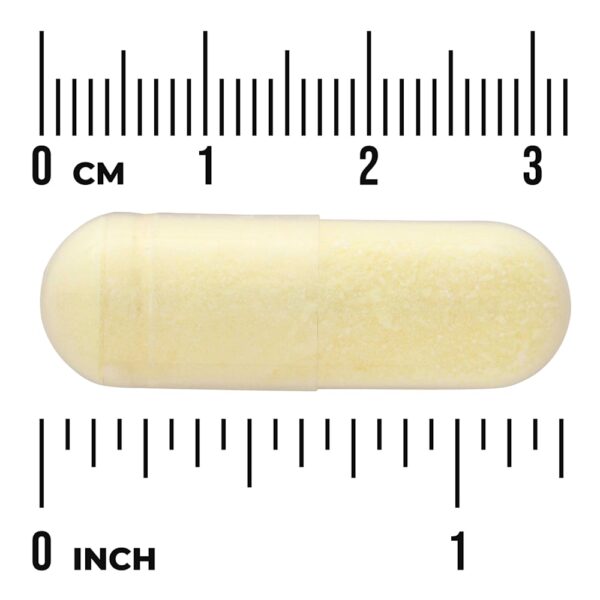 32-47.jpg Swanson Vitamins - Ácido Alfa-Lipoico 600 mg 60 Cápsulas