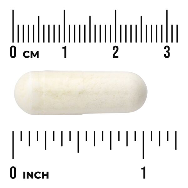 Swanson Vitamins - Ácido Tióctico R-Fraction Potência Tripla 300 mg 30 Cápsulas