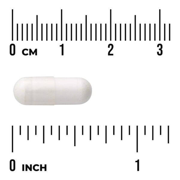 32-54.jpg Swanson Vitamins - Ácido Tióctico 50 mg 120 Cápsulas