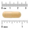 Swanson Vitamins - Blood Sugar Essentials 90 Cápsulas
