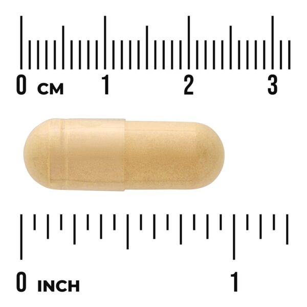 Swanson Vitamins - Blood Sugar Essentials 90 Cápsulas