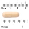 Swanson Vitamins - L-Glutationa com CoQ10 30 Cápsulas Veganas