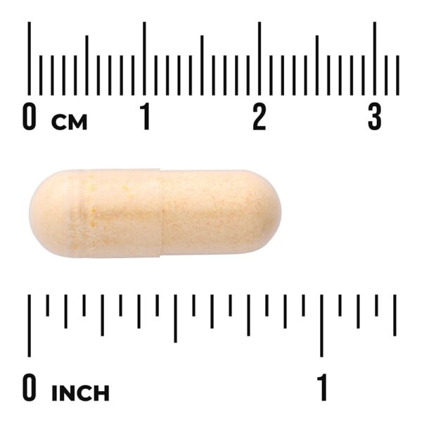 Swanson Vitamins - L-Glutationa com CoQ10 30 Cápsulas Veganas