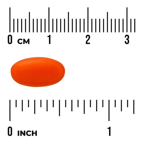 Swanson Vitamins - CoQ10 60 mg 120 Cápsulas Softgel