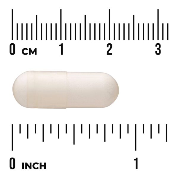 Swanson Vitamins - Mamão e Enzimas Papaína 100 mg 90 Cápsulas Veganas