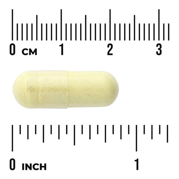 32-94.jpg Swanson Vitamins - Quercetina e Bromelaína 100 Cápsulas Veganas