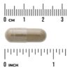 Swanson Vitamins - Folha de Mamão Full Spectrum 400 mg 60 Cápsulas