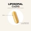 Codeage - CoQ10 Lipossomal Coenzima Q10 Isômeros de Vitamina E Absorção Aprimorada 60 Cápsulas