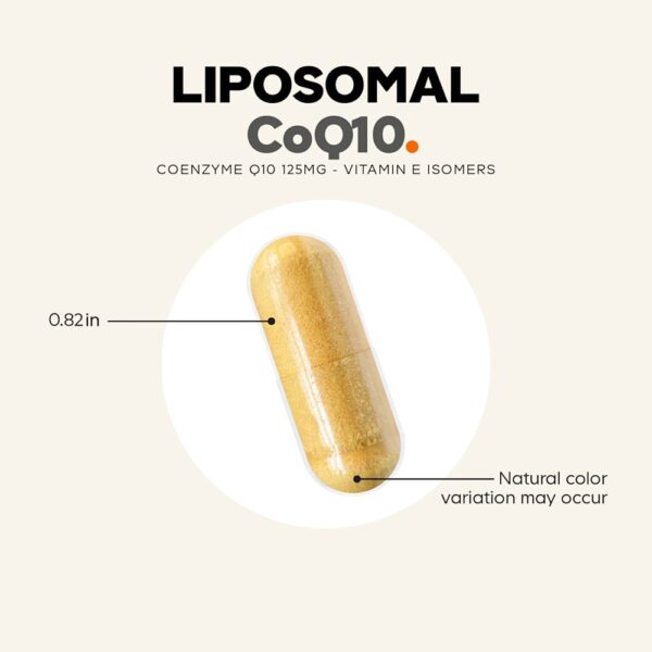 Codeage - CoQ10 Lipossomal Coenzima Q10 Isômeros de Vitamina E Absorção Aprimorada 60 Cápsulas