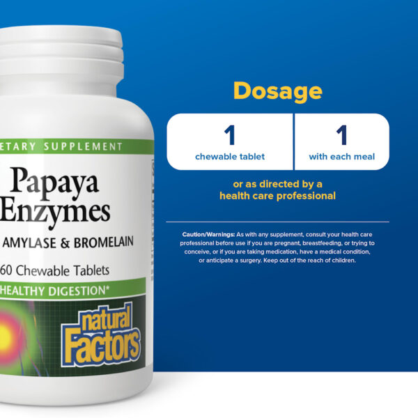 Natural Factors - Enzimas de Mamão com Amilase e Bromelaína 60 Comprimidos Mastigáveis