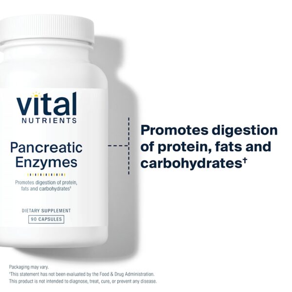 Vital Nutrients - Enzimas Pancreáticas 90 Cápsulas