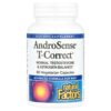 Natural Factors - AndroSense T-Correct 60 Cápsulas Vegetarianas