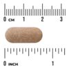 Swanson Vitamins - Orchic Glandular Saúde Masculina 1.000 mg 30 Comprimidos