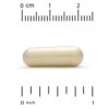California Gold Nutrition - Benfotiamina com L-Leucina 150 mg 90 Cápsulas Vegetais