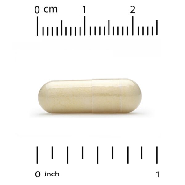 California Gold Nutrition - Benfotiamina com L-Leucina 150 mg 90 Cápsulas Vegetais
