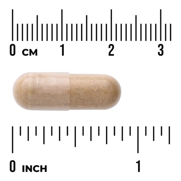 Swanson Vitamins - Multiglandular Saúde Masculina 60 Cápsulas