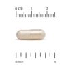 59-7.jpg California Gold Nutrition - Trans-resveratrol 200 mg 60 Cápsulas Vegetais