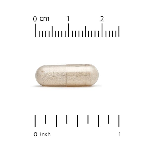 59-7.jpg California Gold Nutrition - Trans-resveratrol 200 mg 60 Cápsulas Vegetais