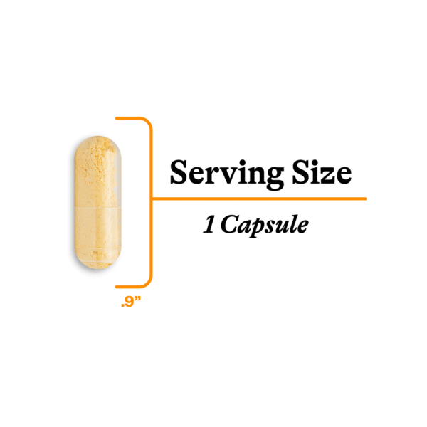 Seeking Health - CoQ10 100 mg 60 Cápsulas