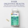 Solaray - Pancreatina 1300 com Protéase Amilase e Lipase 90 VegCaps