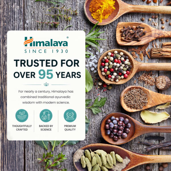 Himalaya - Koflet Lozenge Original Mentol 20 Pastilhas