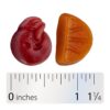 Nature's Way - Gomas Multivitamínicas Alive! para Homens com Mais de 50 Anos Frutas 150 Gomas