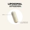 Codeage - Apigenina Lipossomal Complexo de Fosfolipídios 90 Cápsulas Vegetais (50 mg por Cápsula)