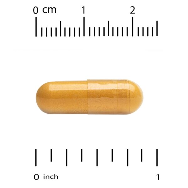 California Gold Nutrition - CoQ10 Ubiquinona Classe USP 100 mg 120 Cápsulas Vegetais