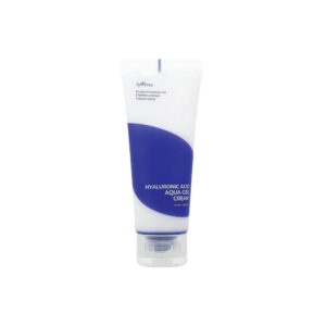 Ácido Hialurônico Aqua Gel Cream 100ml - ISNtree