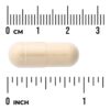Swanson Vitamins - Tongkat Ali 400 mg 120 Cápsulas Veganas