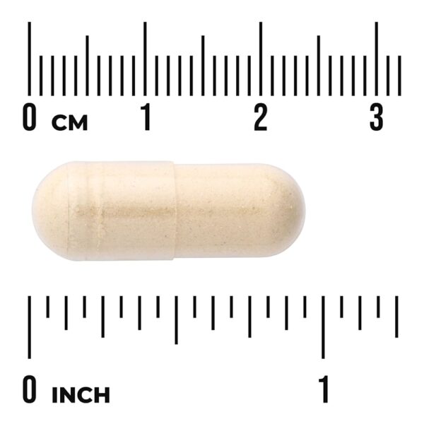Swanson Vitamins - Tongkat Ali 400 mg 120 Cápsulas Veganas