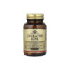 Zinco Quelato Chelated Zinc 22mg 100 Comprimidos - Solgar