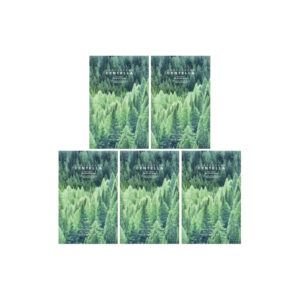 Madagascar Centella Máscara de Beleza Relaxante Tea-Trica 5 Folhas 24ml - SKIN1004