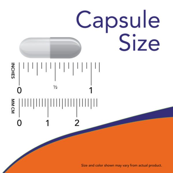 Milk Thistle Extract (Silymarin/Silimarina) 300mg - Now Foods 50 Cápsulas