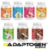 Tasty Whey 3w Gourmet 900g - Adaptogen Iogurte natural